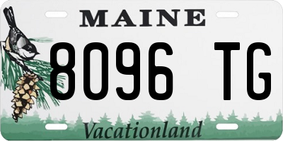 ME license plate 8096TG