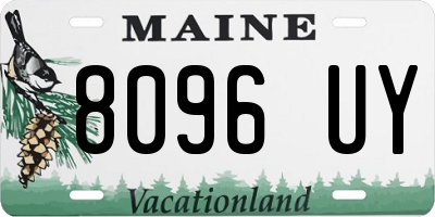 ME license plate 8096UY