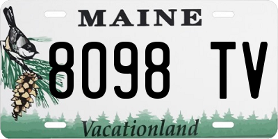 ME license plate 8098TV