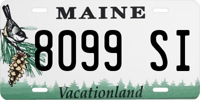 ME license plate 8099SI