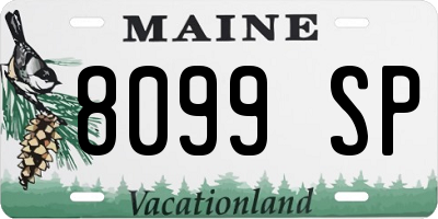 ME license plate 8099SP