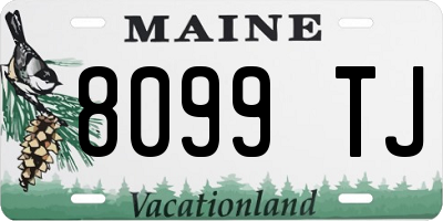 ME license plate 8099TJ