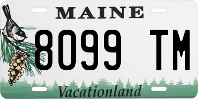 ME license plate 8099TM