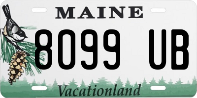 ME license plate 8099UB