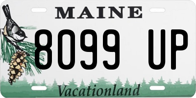 ME license plate 8099UP