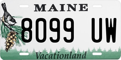 ME license plate 8099UW