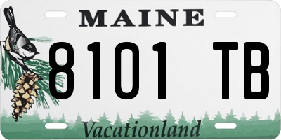 ME license plate 8101TB