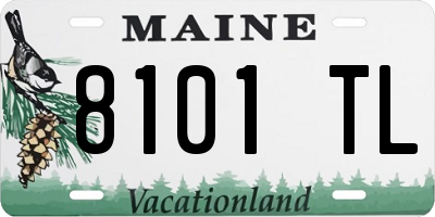 ME license plate 8101TL