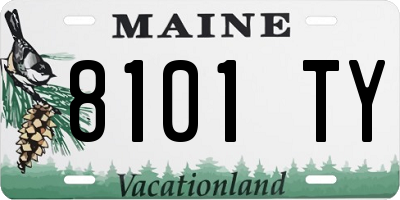 ME license plate 8101TY