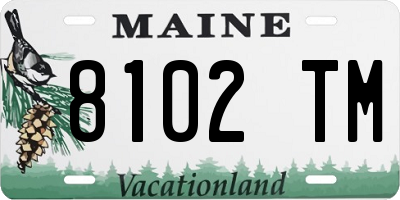ME license plate 8102TM
