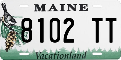 ME license plate 8102TT