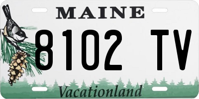 ME license plate 8102TV
