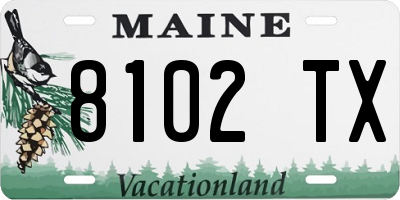 ME license plate 8102TX