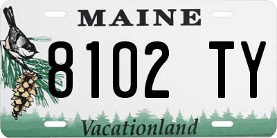 ME license plate 8102TY