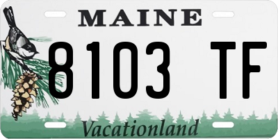 ME license plate 8103TF