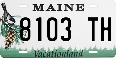 ME license plate 8103TH