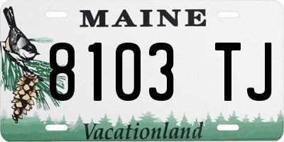 ME license plate 8103TJ
