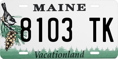 ME license plate 8103TK