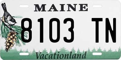 ME license plate 8103TN