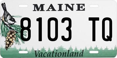 ME license plate 8103TQ