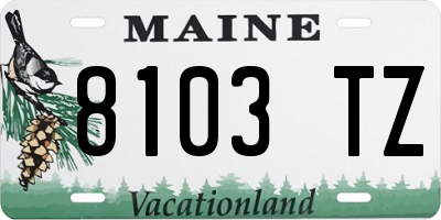 ME license plate 8103TZ
