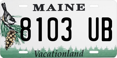 ME license plate 8103UB