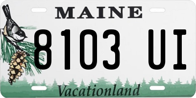 ME license plate 8103UI