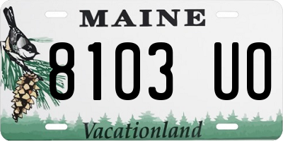 ME license plate 8103UO
