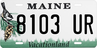 ME license plate 8103UR