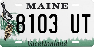 ME license plate 8103UT