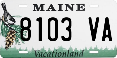 ME license plate 8103VA