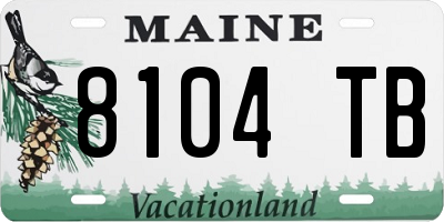 ME license plate 8104TB