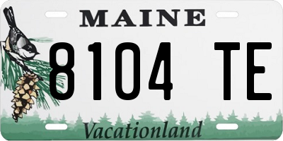 ME license plate 8104TE