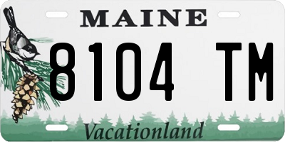 ME license plate 8104TM