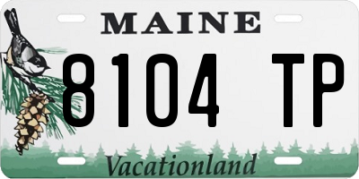 ME license plate 8104TP