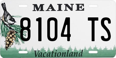 ME license plate 8104TS
