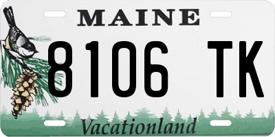 ME license plate 8106TK