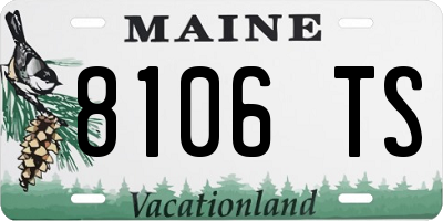 ME license plate 8106TS