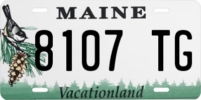 ME license plate 8107TG