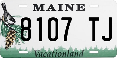 ME license plate 8107TJ