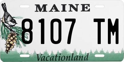 ME license plate 8107TM