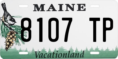ME license plate 8107TP