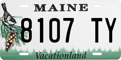 ME license plate 8107TY