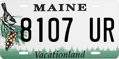 ME license plate 8107UR