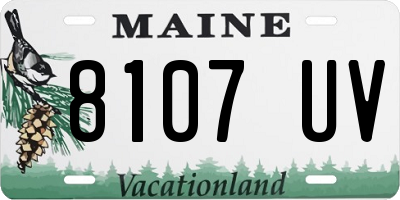 ME license plate 8107UV