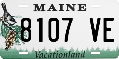 ME license plate 8107VE