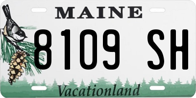 ME license plate 8109SH