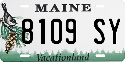 ME license plate 8109SY