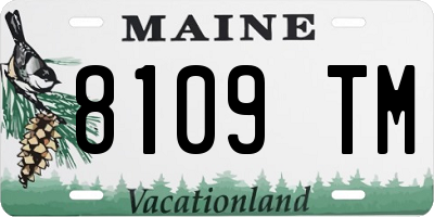 ME license plate 8109TM