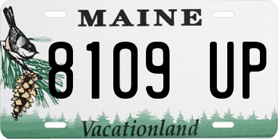 ME license plate 8109UP